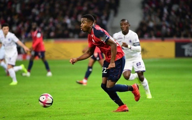 成功案例的 成功案例的